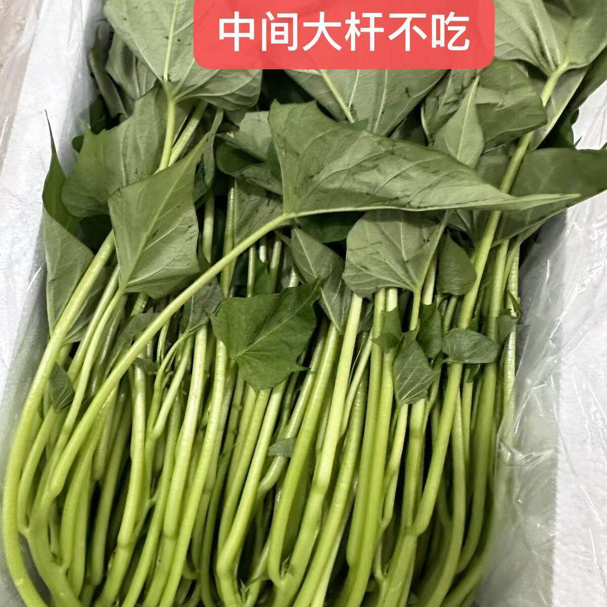 河南农家自种新鲜红薯尖叶蔬菜