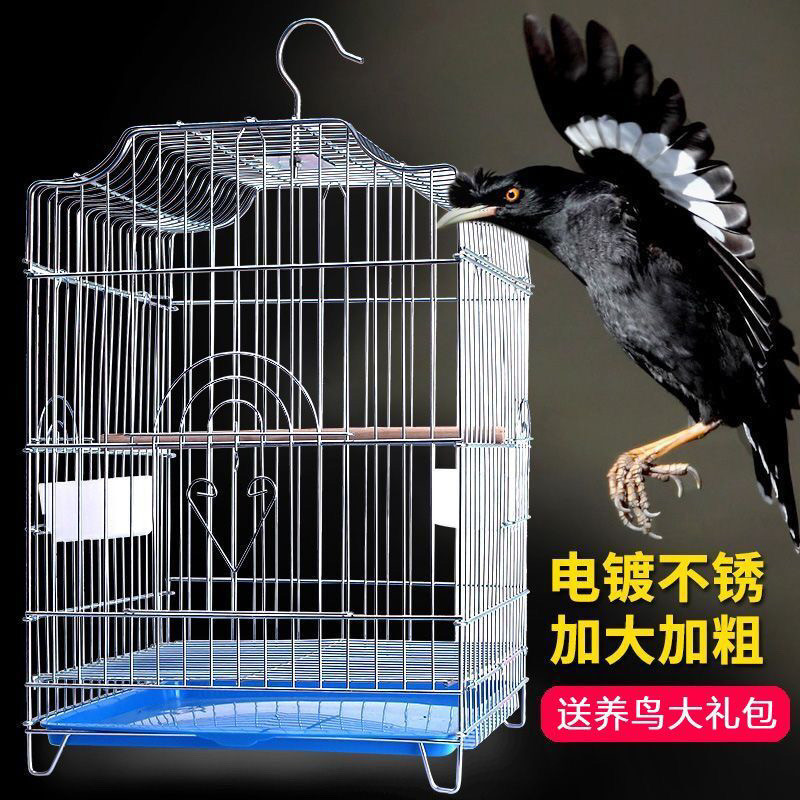 加粗加大电镀笼子牡丹八哥专用玄凤虎皮鹦鹉笼鸟笼子鹦鹉豪华家用