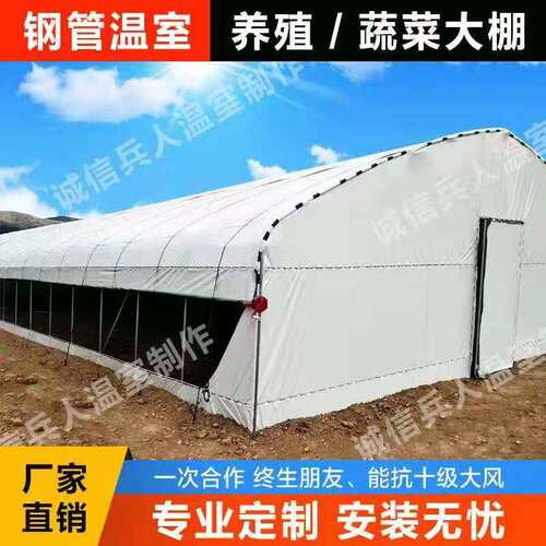 养殖塑料温室大棚蔬菜