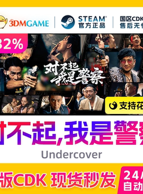Steam正版激活码 对不起,我是警察 国区CDKEY 真入库 Undercover
