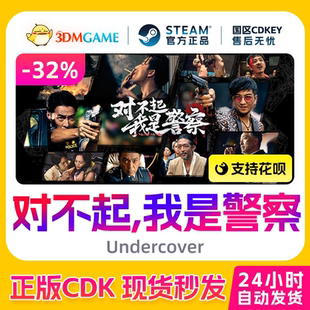 Steam正版激活码 对不起,我是警察 国区CDKEY 真入库 Undercover