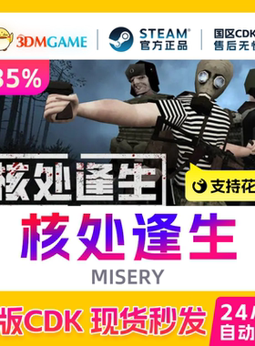 Steam正版激活码 MISERY核处逢生 国区CDKEY 现货秒发 多人生存