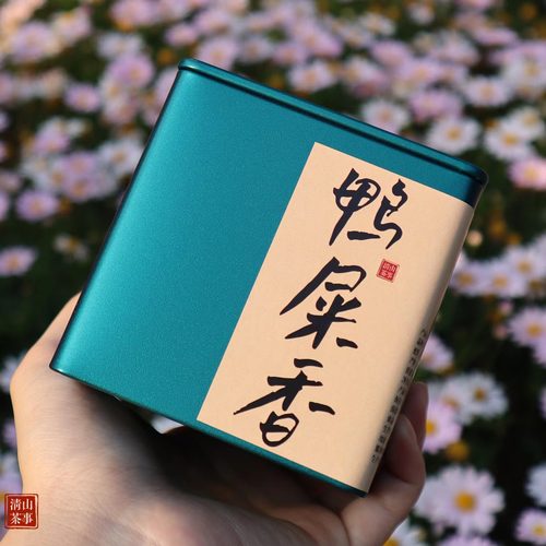 清山茶事凤凰单丛鸭屎香