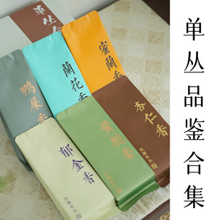 「新」清山茶事｜2025凤凰单丛品鉴合集入门到进阶