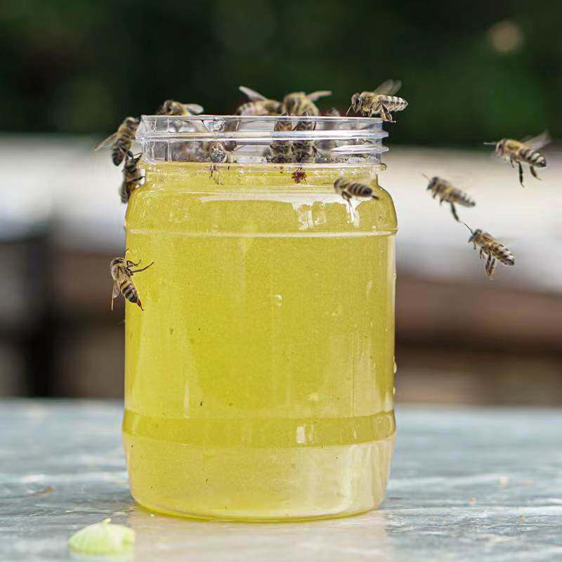 2023年新蜜现取柑橘蜜橘花蜜农家自产纯正天然蜂柑橘橙子蜜土蜂蜜