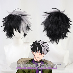 【自由人】魔法使的约定cos假发Bradleyブラッドリー