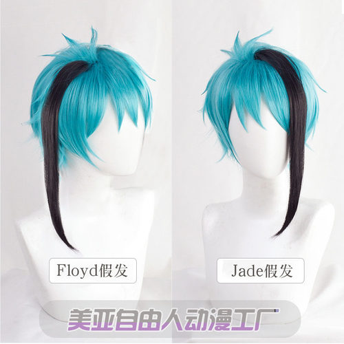 自由人扭曲仙境cos假发