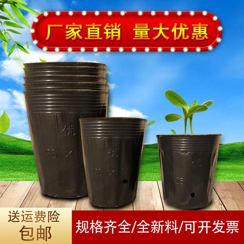 黑色抗老化塑料营养钵育苗杯