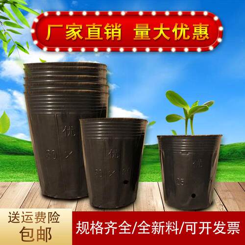 黑色抗老化塑料营养钵育苗杯