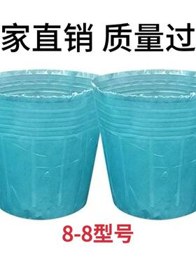 蓝色育苗营养杯盆花卉塑料蔬菜厚大棚一次性塑料营养钵西瓜育苗杯