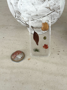 BOOD原创 秋去冬来落叶极简 韩国上镜双层覆膜 适用于16pro/15promax手机壳