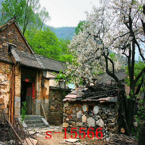 红3d立体窑洞土房草原背景布