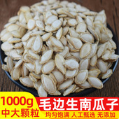 特大毛边南瓜子新货生南瓜子原味贵州农家自种老品种南瓜籽仁带壳