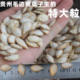 贵州毛边南瓜子2025年新货特大粒生南瓜子仁带壳新鲜休闲零食坚果