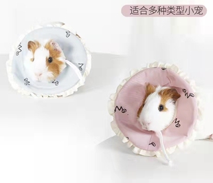 小宠用防咬圈迷你伊丽莎白圈蜜袋鼯松鼠花枝鼠防误伤术后感染隔离