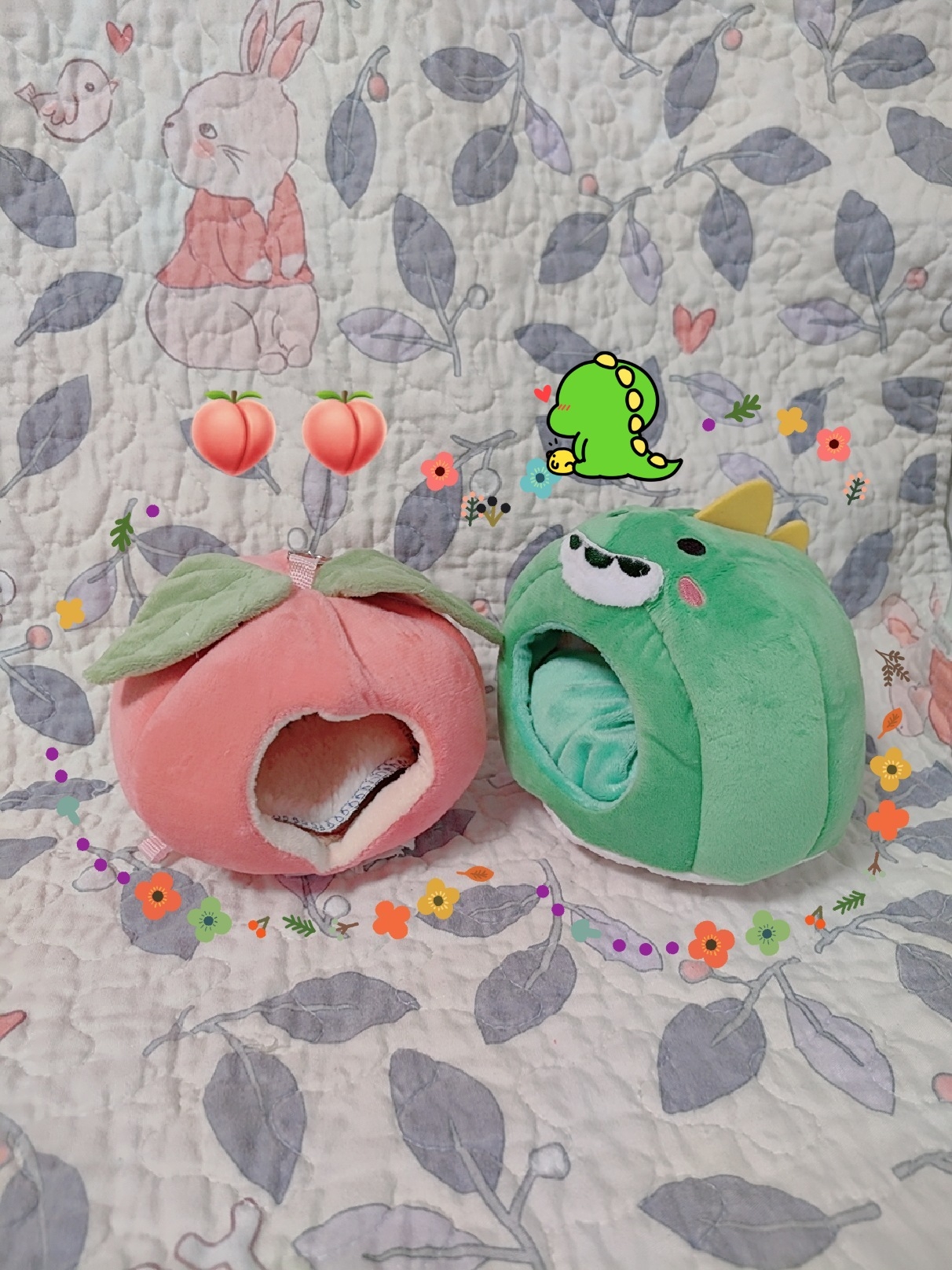 蜜袋鼯鼠鼬仓鼠春夏秋季用松鼠