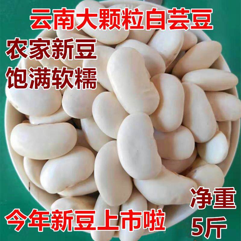 云南特产白芸豆5斤大扁豆