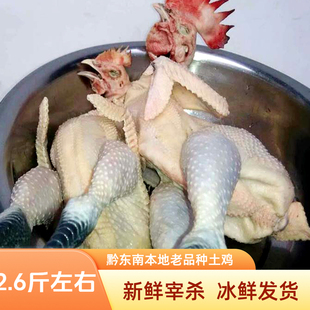 正宗贵州黔东南本地鸡新鲜现宰老品种土鸡小香鸡冰鲜发货月子鸡