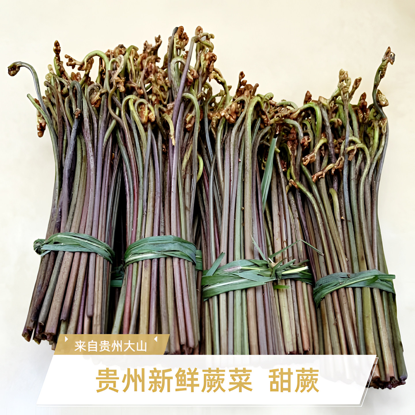 贵州野生蕨菜新鲜现摘山蕨菜2026甜蕨菜龙爪菜贵州野菜野蕨菜包邮