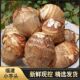 福建新鲜白芽芋小芋头现挖高山牛奶芋头新鲜芋艿宝宝辅食软糯好吃