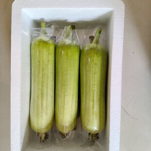 湖南露天白玉丝瓜新鲜现摘短棒水瓜时令蔬菜肉白丝瓜孕妇牛奶丝瓜