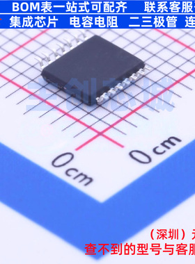 音频接口芯片 PAM8100RRR TSSOP-14 DIODES(美台) 电子元器件配单
