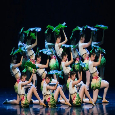 第十三届小荷风采春意盎然时舞蹈服儿童演出服少儿表演服荷叶演出