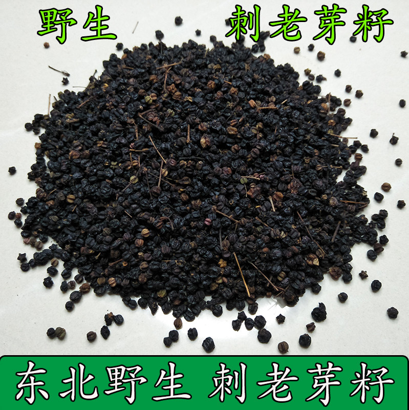 东北野生老芽籽新货干净无杂质