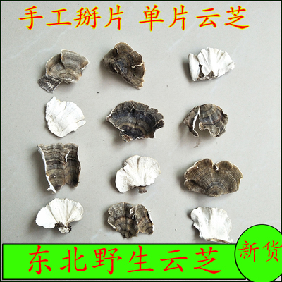 野生云芝白底新货手工掰片干净