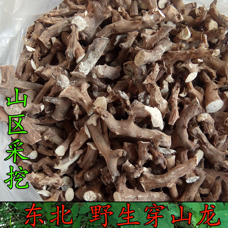 东北野生穿山龙 穿龙薯蓣 地龙骨 穿地龙 穿山龙500克 穿龙骨