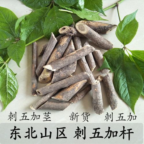 东北刺五加长根茎枝杆新货