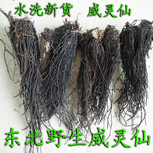 东北野生威灵仙 铁脚威灵仙 威灵仙 整棵威灵仙山辣椒秧根250包邮