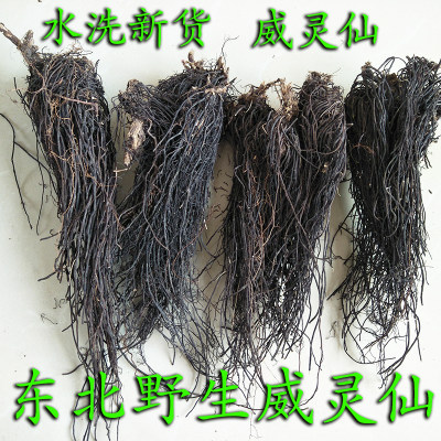 野生东北铁脚山辣椒秧根威灵仙