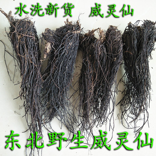 野生东北铁脚山辣椒秧根威灵仙
