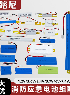 消防应急灯电源Y1.2V2.4v3.6V6V 800/1800安全出口灯充电蓄电池组