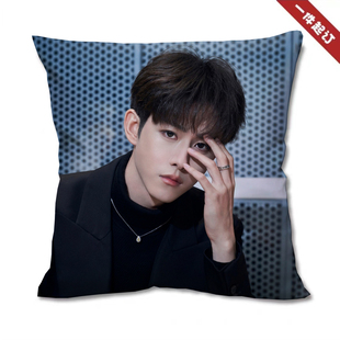 田嘉瑞抱枕双面定制可拆洗周边双面睡觉枕头含芯宿舍生日礼物靠枕