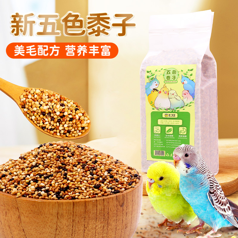 黍子蛋丁食堂包邮五色黍子