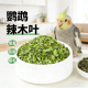 鹦鹉专用辣木叶虎皮牡丹玄凤鸟用品奖励零食90g拌鸟粮饲料高营养