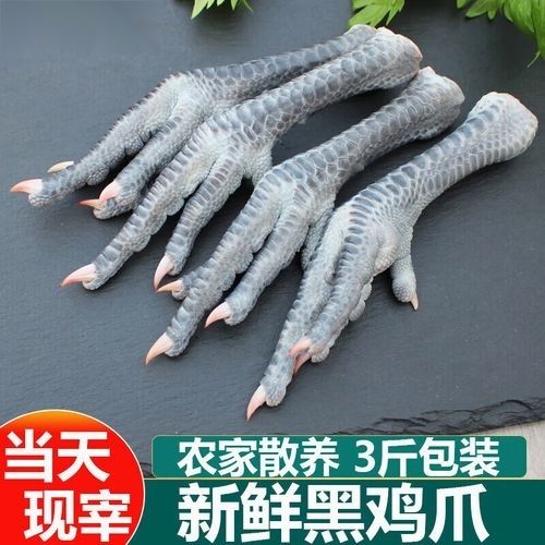 【顺丰包邮】3斤大号散养土鸡爪黑脚鸡爪草鸡爪带骨鸡爪乌鸡凤爪