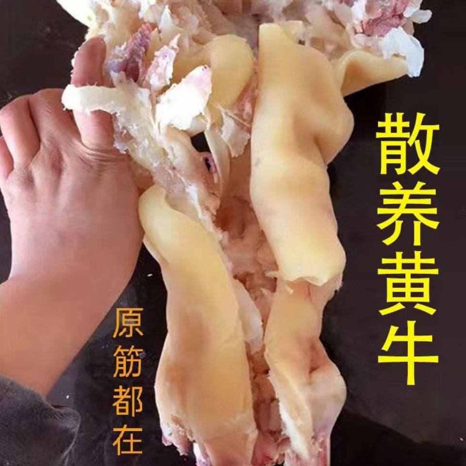牛肉整只新鲜半熟脱骨牛脚牛蹄筋大牛腿新鲜黄牛牛蹄子牛筋牛蹄筋