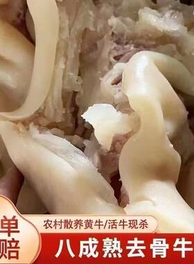 新鲜黄牛牛蹄子去骨剔骨牛蹄子整只新鲜半熟脱骨牛脚牛蹄筋大牛腿