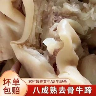 新鲜黄牛牛蹄子去骨剔骨牛蹄子整只新鲜半熟脱骨牛脚牛蹄筋大牛腿