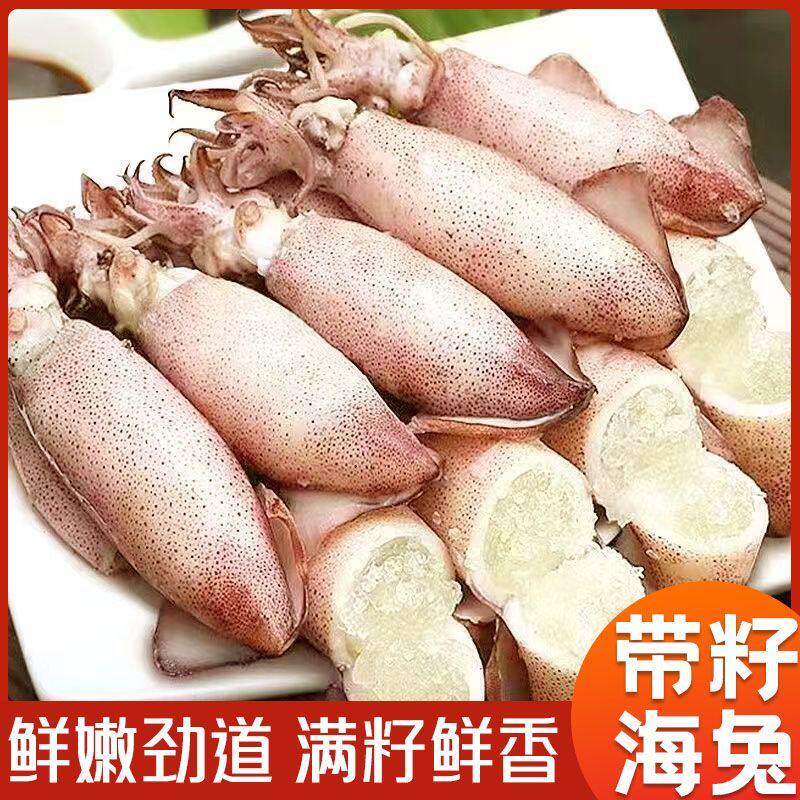 顺丰5斤新鲜全籽籽乌带籽海兔子满籽笔管鱼冷冻墨鱼小鱿鱼八爪鱼