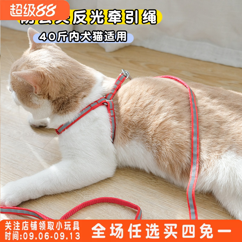 背心式夜光套脖迷你中小型牵引绳图片