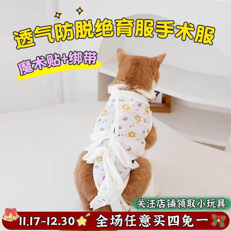 猫咪绝育服防舔术后公猫母猫手术
