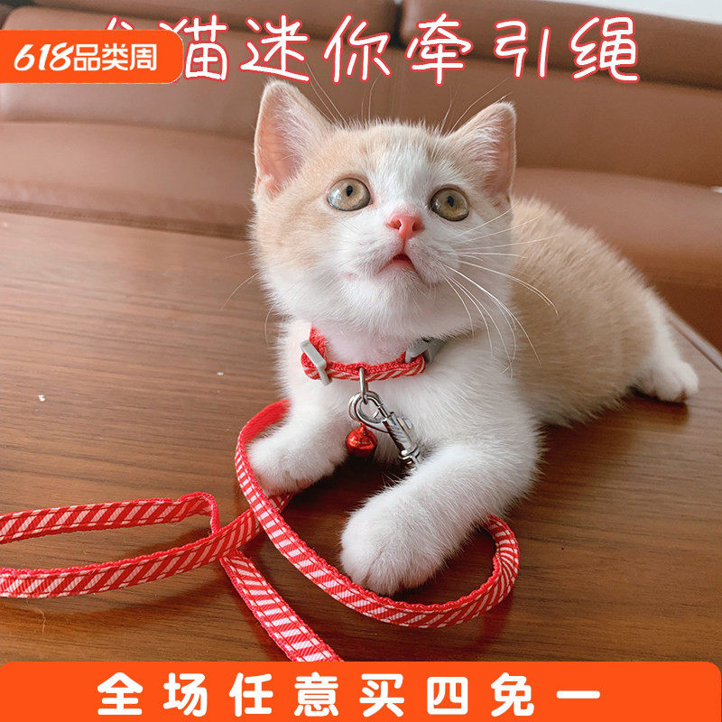 狗狗幼猫咪幼犬牵引绳套脖铃铛牵引绳小型玩具茶杯犬迷你遛狗猫绳