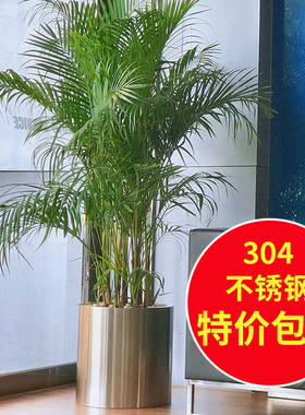 不锈钢北欧圆柱花盆金色ins简约创意大中型植物落地金属花器花箱