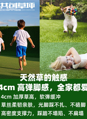 共创草坪美吉特景观新品假草皮