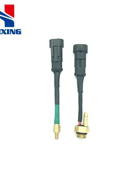 LPG/CNG汽车油改气改装AC200 AC300 水温气温燃气汽车配件