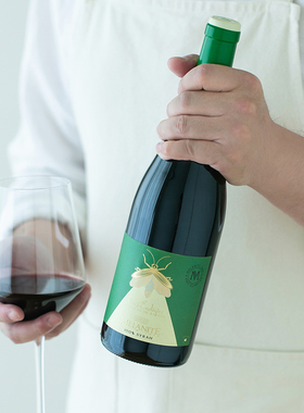 西班牙卡斯蒂利亚萤火虫西拉干红有机素食自然酒 红酒过桶14个月